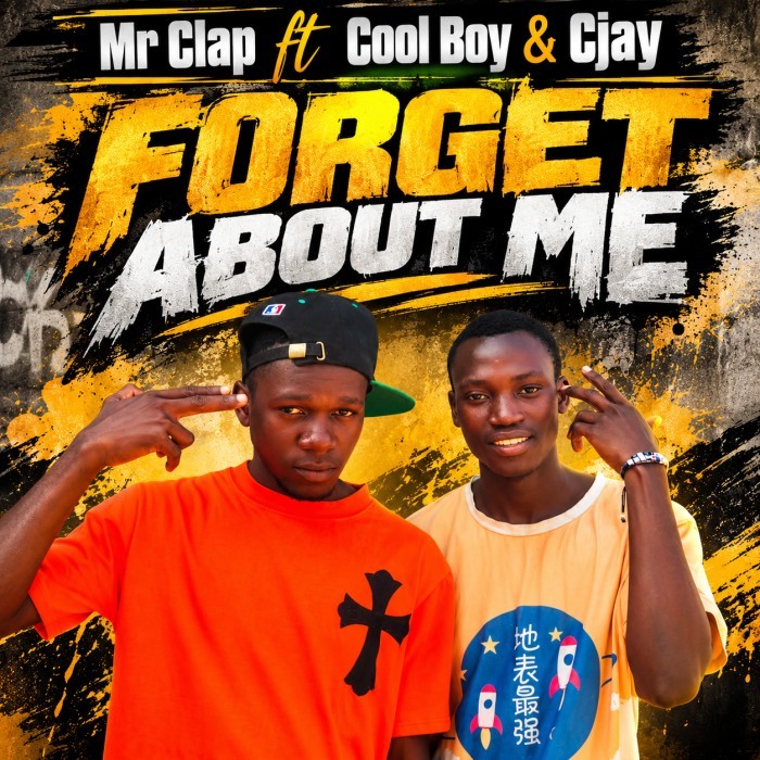 Song Cover