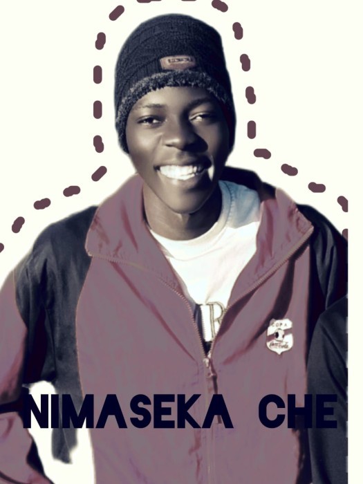 Song Cover