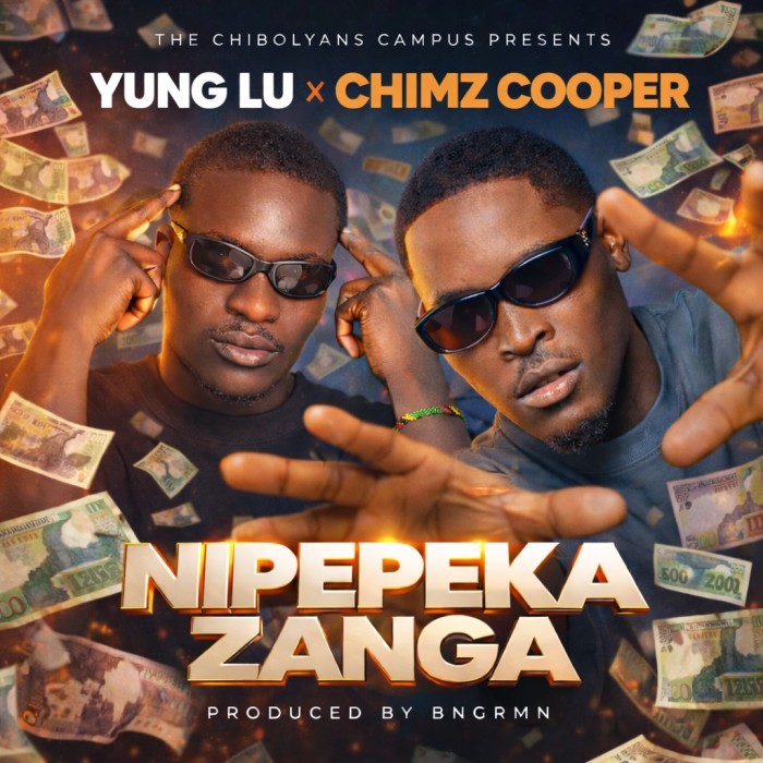 Song Cover